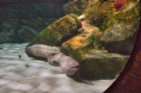 München Sealife Mittelmeerhafen