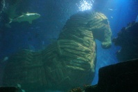 München Sealife Tropischer Ozean