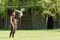Wildpark Poing Falke