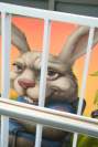 Hase hinter Gitter