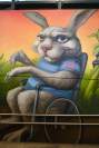 Hase im Rollstuhl
