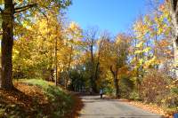 Herbstweg zum See