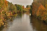 Neufinsing Isarkanal Herbstfarben