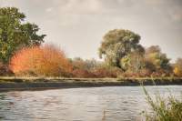 Speichersee Herbstfarben