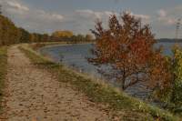 Speichersee Herbstfarben