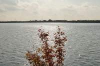 Speichersee Seeblick