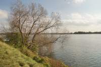 Speichersee Seeblick