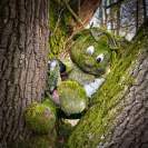 Günding Steingnom im Baum