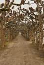 Dachau Schlossgarten