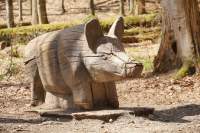 Walderlebnispark FS Wildschwein