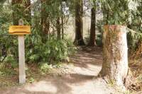 Walderlebnispark FS Sammelplatz