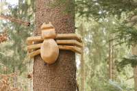 Walderlebnispark FS Spinne