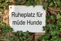 Schondorf Ruheplatz Hunde